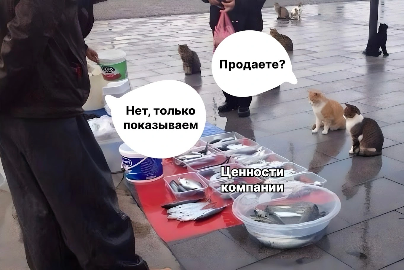 HR-бренд через Telegram: полная инструкция к созданию канала компании